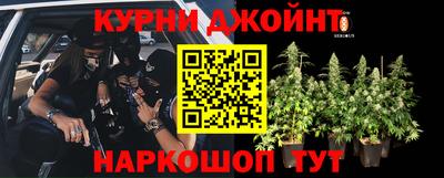 стафф Тверь