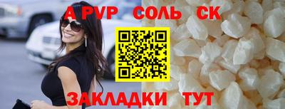 бошки Тара