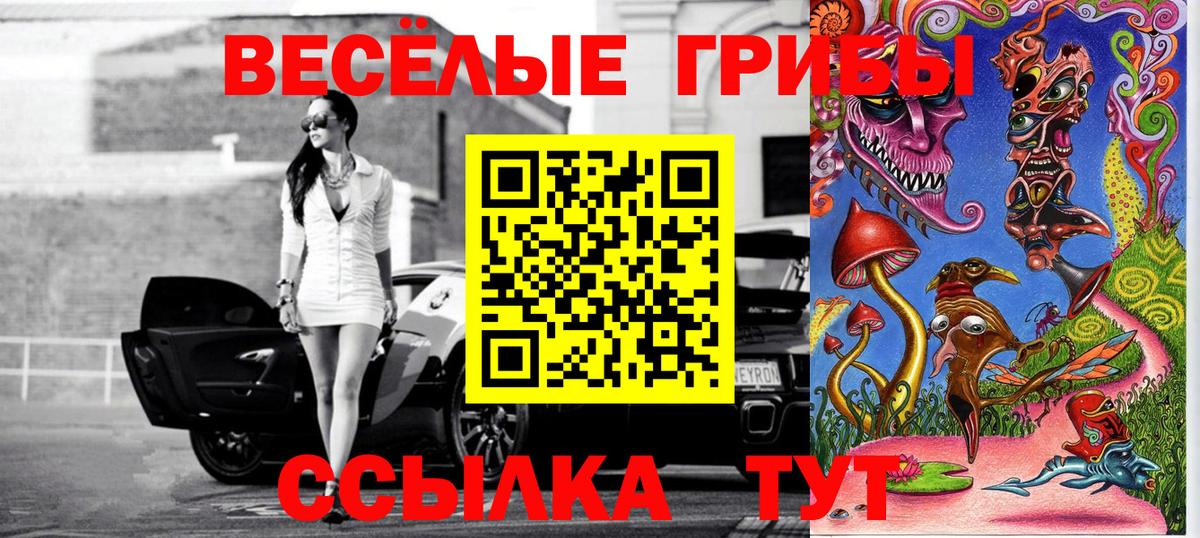 Галлюциногенные грибы Magic Shrooms Прокопьевск
